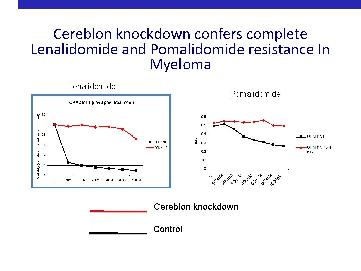 Cereblon knockdown confers complete Lenalidomide and Pomalidomide resistance In Myeloma Lenalidomide Pomalidomide Cereblon knockdown