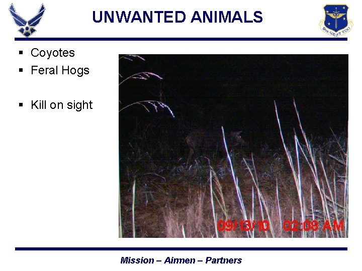 UNWANTED ANIMALS § Coyotes § Feral Hogs § Kill on sight Mission – Airmen