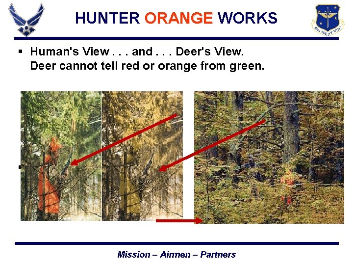 HUNTER ORANGE WORKS ORANGE § Human's View. . . and. . . Deer's View.
