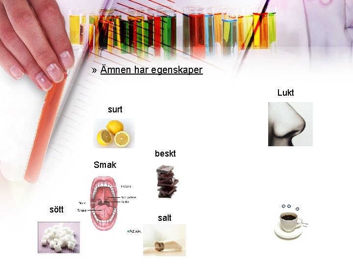 » Ämnen har egenskaper Lukt surt beskt Smak sött salt 
