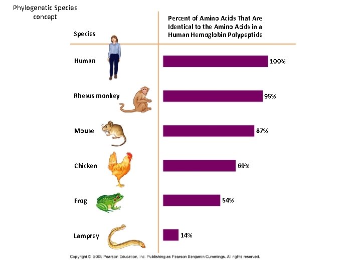 Phylogenetic Species concept Species Percent of Amino Acids That Are Identical to the Amino