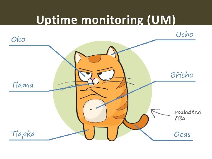 Uptime monitoring (UM) Oko Tlama Ucho Břicho rozladěná číča Tlapka Ocas 