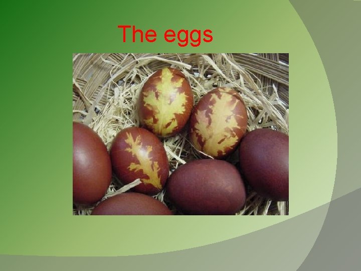 The eggs 
