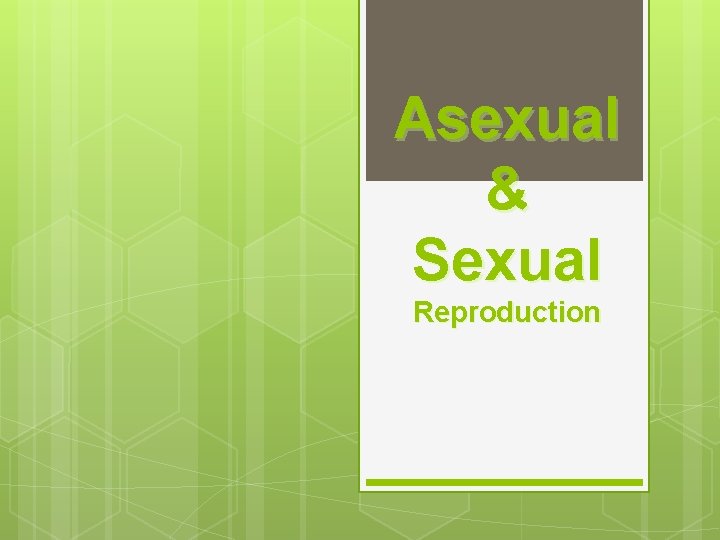 Asexual & Sexual Reproduction 