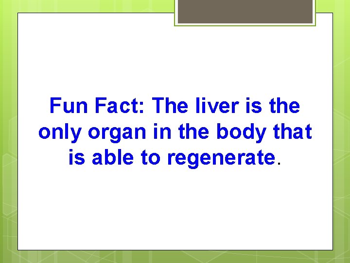 Fun Fact: The liver is the only organ in the body that is able
