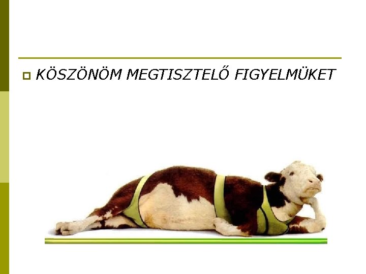 p KÖSZÖNÖM MEGTISZTELŐ FIGYELMÜKET 