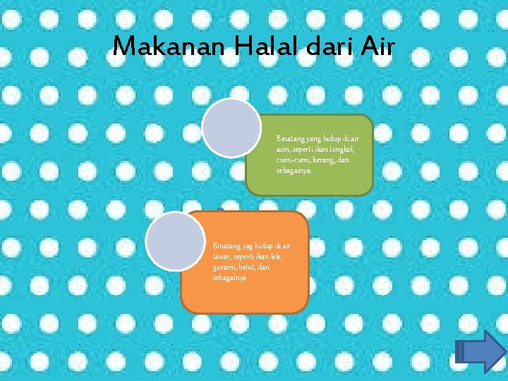 Makanan Halal dari Air Binatang yang hidup di air asin, seperti ikan tongkol, cumi-cumi,