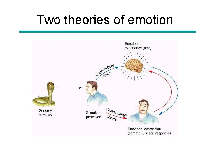 Two theories of emotion 