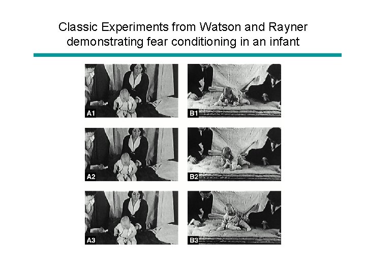 Classic Experiments from Watson and Rayner demonstrating fear conditioning in an infant 