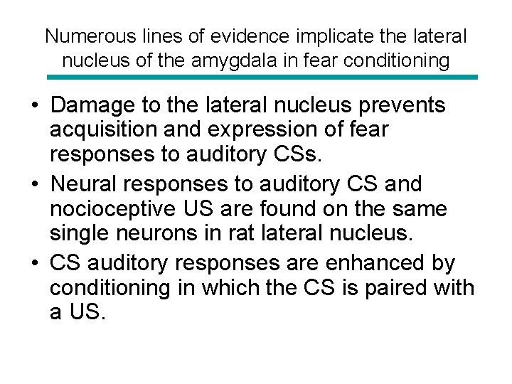 Numerous lines of evidence implicate the lateral nucleus of the amygdala in fear conditioning