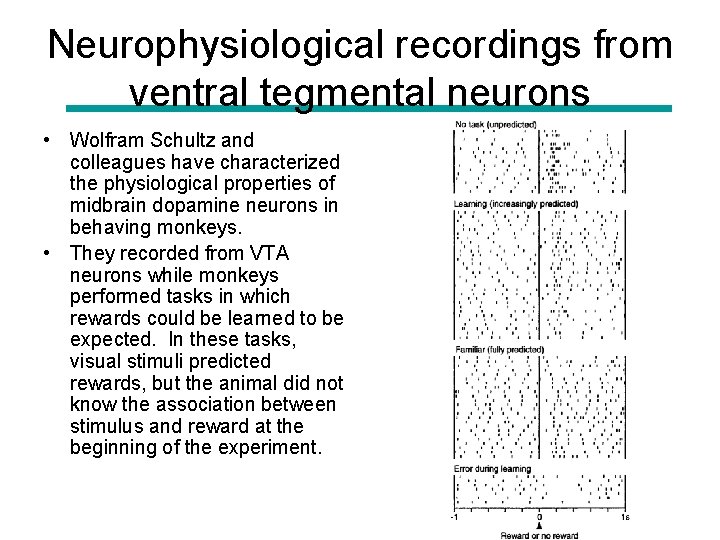 Neurophysiological recordings from ventral tegmental neurons • Wolfram Schultz and colleagues have characterized the