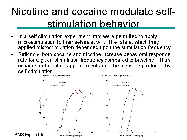 Nicotine and cocaine modulate selfstimulation behavior • In a self-stimulation experiment, rats were permitted