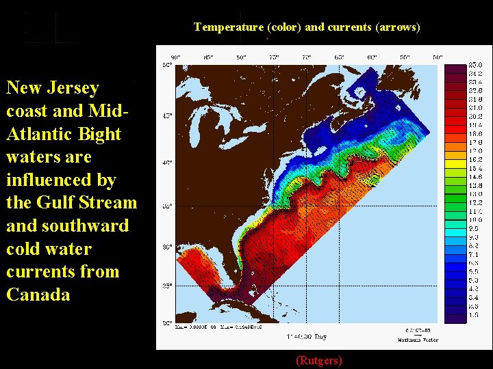 Temperature (color) and currents (arrows) New Jersey coast and Mid. Atlantic Bight waters are