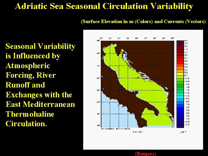 Adriatic Seasonal Circulation Variability (Surface Elevation in m (Colors) and Currents (Vectors) Seasonal Variability