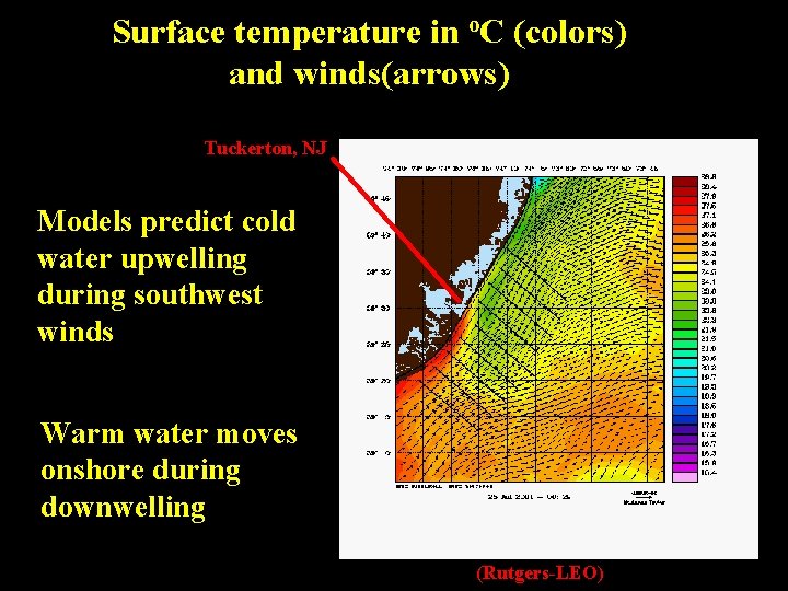 Surface temperature in o. C (colors) and winds(arrows) Tuckerton, NJ Models predict cold water