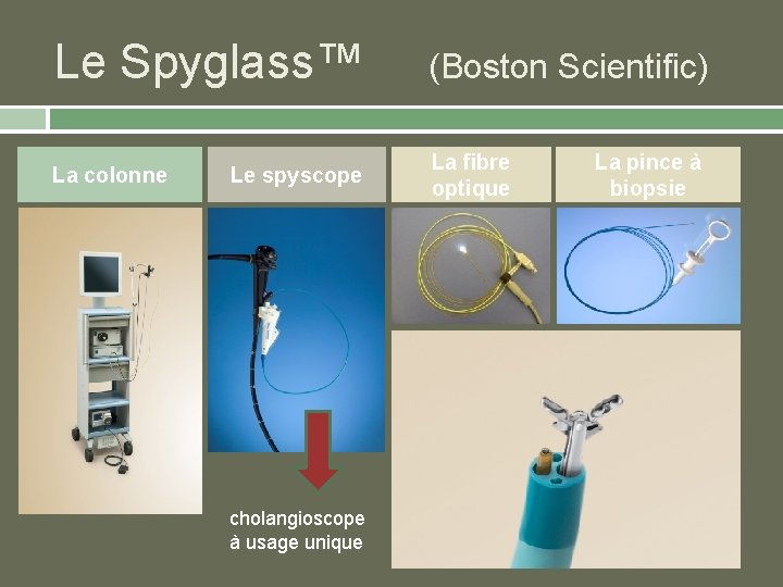 Le Spyglass™ (Boston Scientific) La colonne Le spyscope cholangioscope à usage unique La fibre