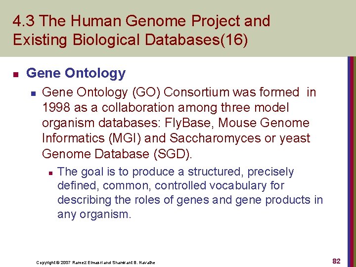 4. 3 The Human Genome Project and Existing Biological Databases(16) n Gene Ontology (GO)