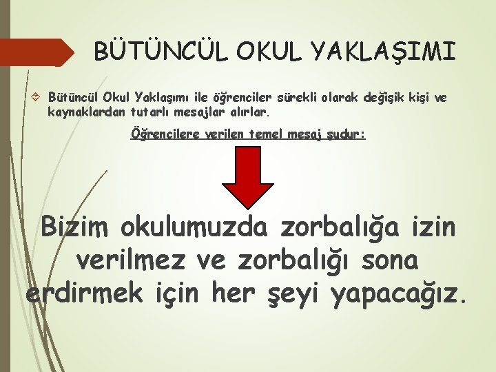 BÜTÜNCÜL OKUL YAKLAŞIMI Bütüncül Okul Yaklaşımı ile öğrenciler sürekli olarak değişik kişi ve kaynaklardan