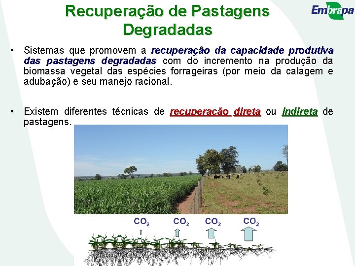Recuperação de Pastagens Degradadas • Sistemas que promovem a recuperação da capacidade produtiva das