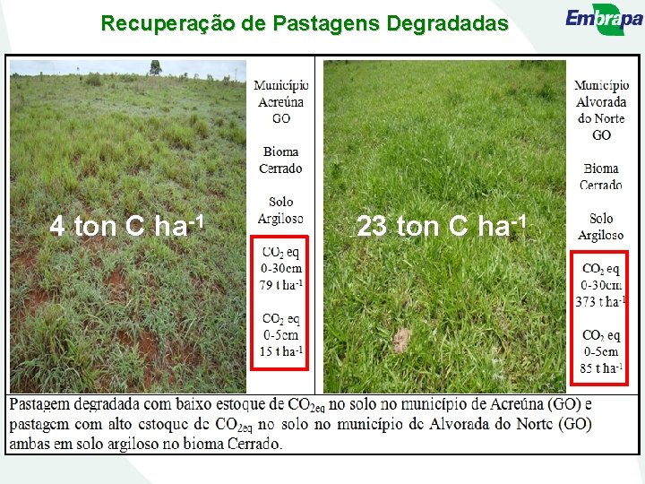 Recuperação de Pastagens Degradadas 4 ton C ha-1 23 ton C ha-1 