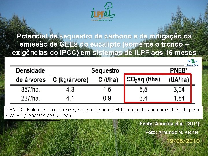 Potencial de sequestro de carbono e de mitigação da emissão de GEEs do eucalipto