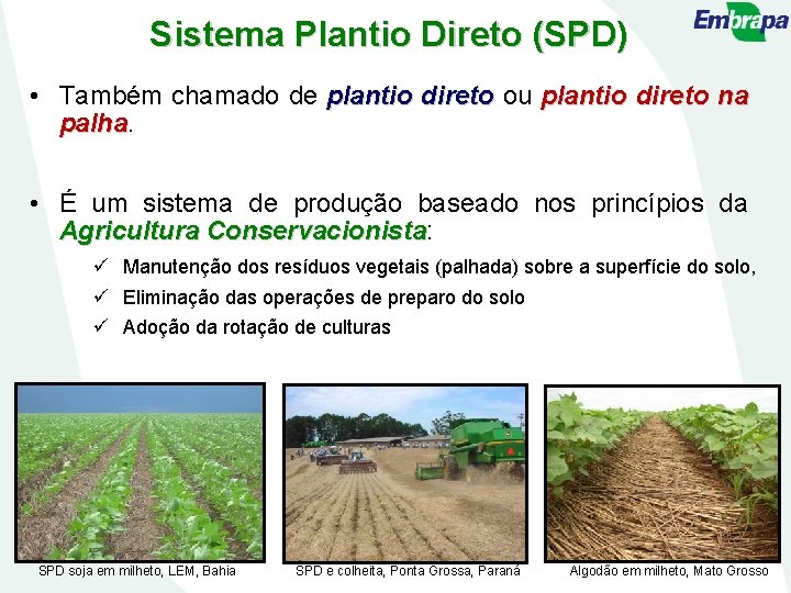 Sistema Plantio Direto (SPD) • Também chamado de plantio direto ou plantio direto na