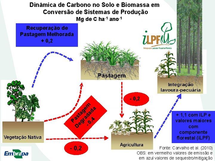 Dinâmica de Carbono no Solo e Biomassa em Conversão de Sistemas de Produção Mg
