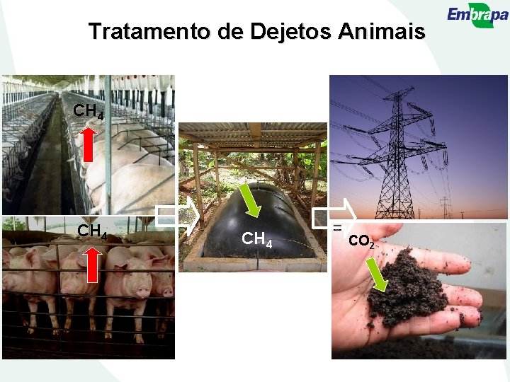 Tratamento de Dejetos Animais CH 4 CO 2 