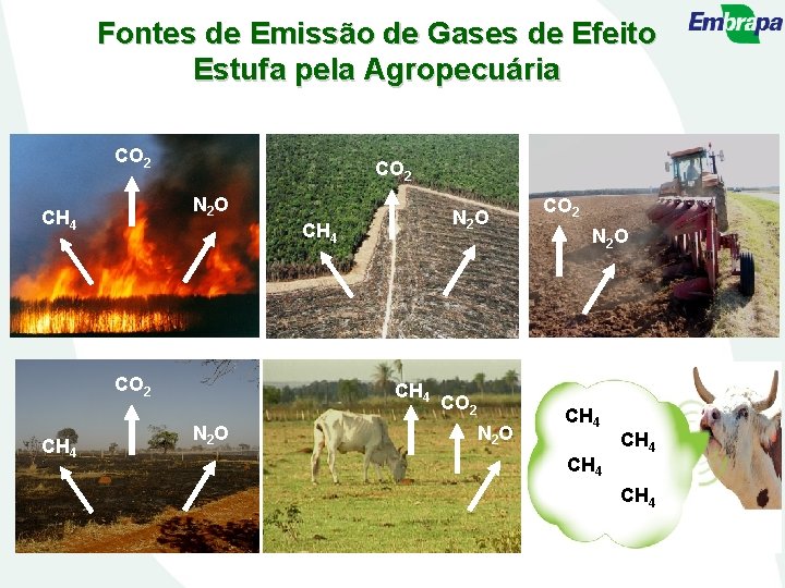 Fontes de Emissão de Gases de Efeito Estufa pela Agropecuária CO 2 N 2