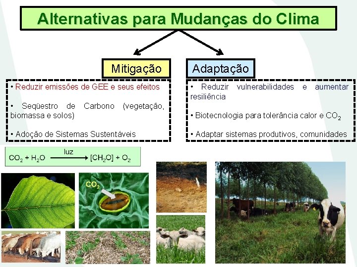 Alternativas para Mudanças do Clima Mitigação • Reduzir emissões de GEE e seus efeitos