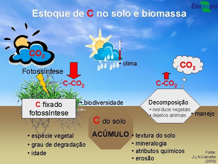 Estoque de C no solo e biomassa CO 2 • clima CO 2 Fotossíntese