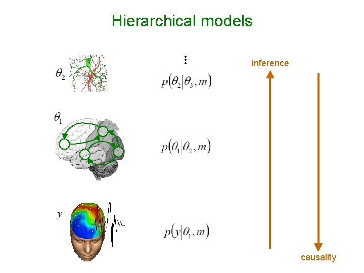 Hierarchical models • • • inference causality 