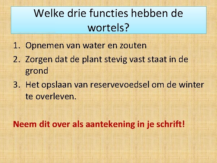 Welke drie functies hebben de wortels? 1. Opnemen van water en zouten 2. Zorgen