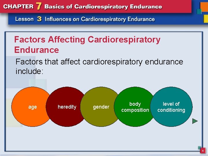 Factors Affecting Cardiorespiratory Endurance Factors that affect cardiorespiratory endurance include: age heredity gender body