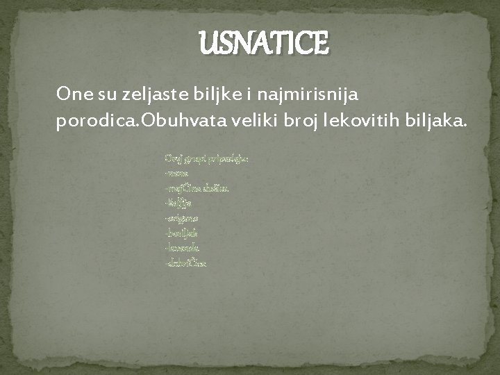 USNATICE One su zeljaste biljke i najmirisnija porodica. Obuhvata veliki broj lekovitih biljaka. Ovoj