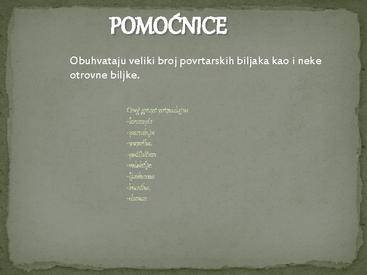 POMOĆNICE Obuhvataju veliki broj povrtarskih biljaka kao i neke otrovne biljke. Ovoj grupi pripadaju: