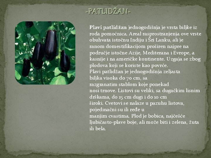 -PATLIDŽANPlavi patlidžan jednogodišnja je vrsta biljke iz roda pomoćnica. Areal rasprostranjenja ove vrste obuhvata