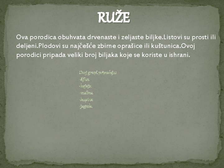 RUŽE Ova porodica obuhvata drvenaste i zeljaste biljke. Listovi su prosti ili deljeni. Plodovi