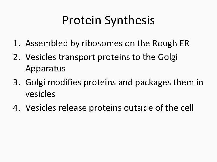 Protein Synthesis 1. Assembled by ribosomes on the Rough ER 2. Vesicles transport proteins