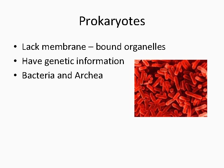 Prokaryotes • Lack membrane – bound organelles • Have genetic information • Bacteria and