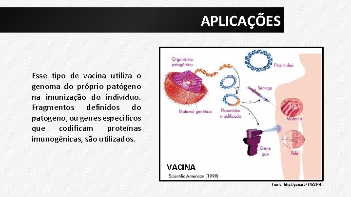 APLICAÇÕES Esse tipo de vacina utiliza o genoma do próprio patógeno na imunização do
