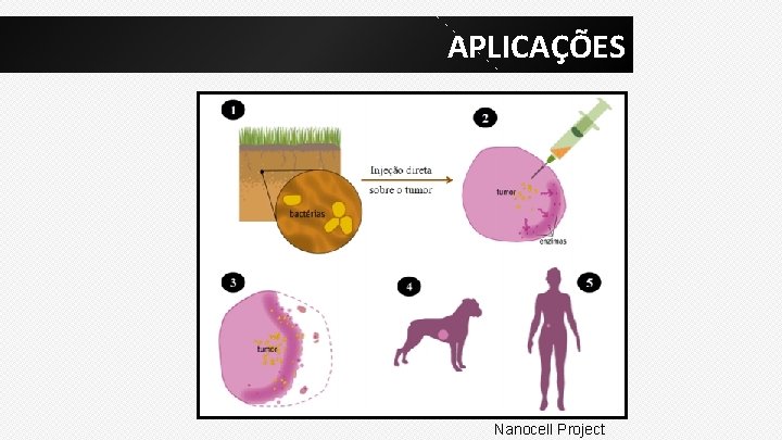 APLICAÇÕES Nanocell Project 
