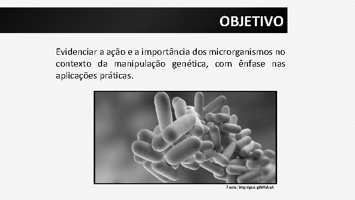 OBJETIVO Evidenciar a ação e a importância dos microrganismos no contexto da manipulação genética,