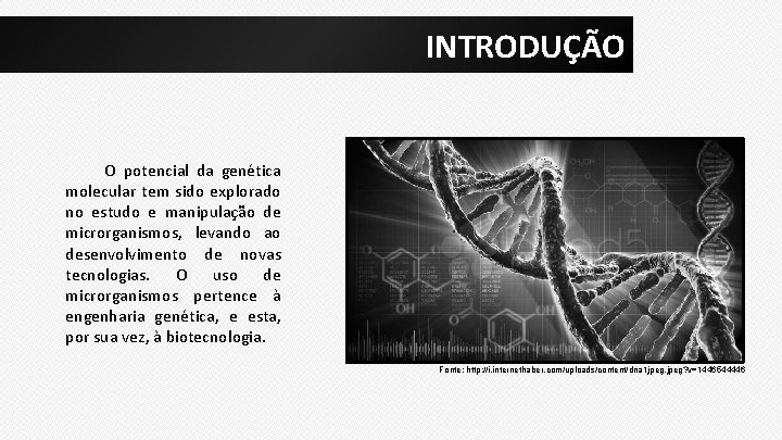 INTRODUÇÃO O potencial da genética molecular tem sido explorado no estudo e manipulação de