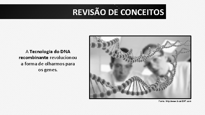 REVISÃO DE CONCEITOS A Tecnologia do DNA recombinante revolucionou a forma de olharmos para