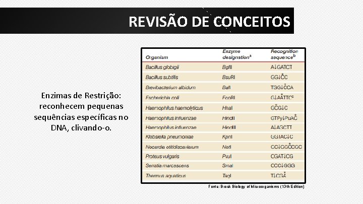 REVISÃO DE CONCEITOS Enzimas de Restrição: reconhecem pequenas sequências específicas no DNA, clivando-o. Fonte: