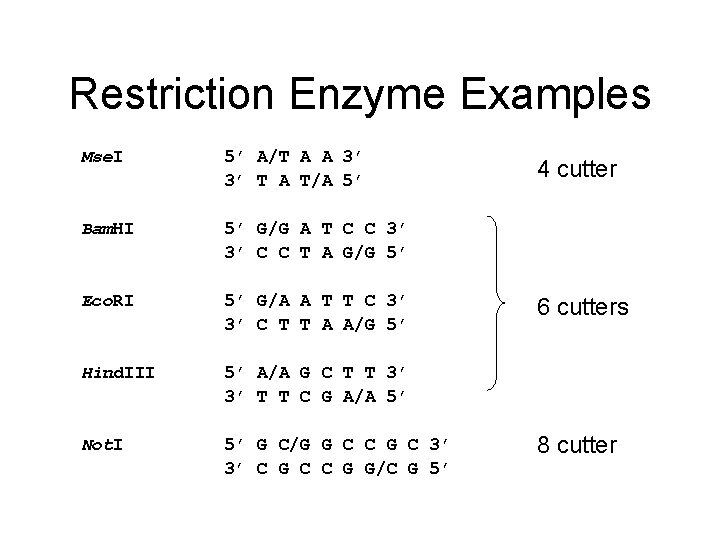 Restriction Enzyme Examples Mse. I 5’ A/T A A 3’ 3’ T A T/A