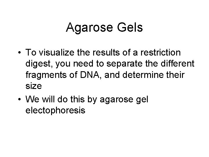 Agarose Gels • To visualize the results of a restriction digest, you need to