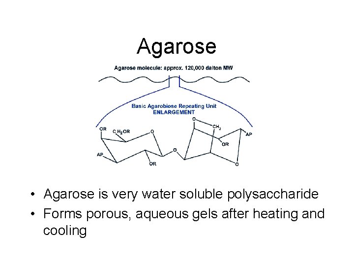 Agarose • Agarose is very water soluble polysaccharide • Forms porous, aqueous gels after