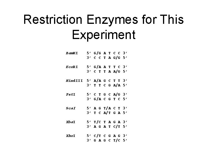 Restriction Enzymes for This Experiment Bam. HI 5’ G/G A T C C 3’